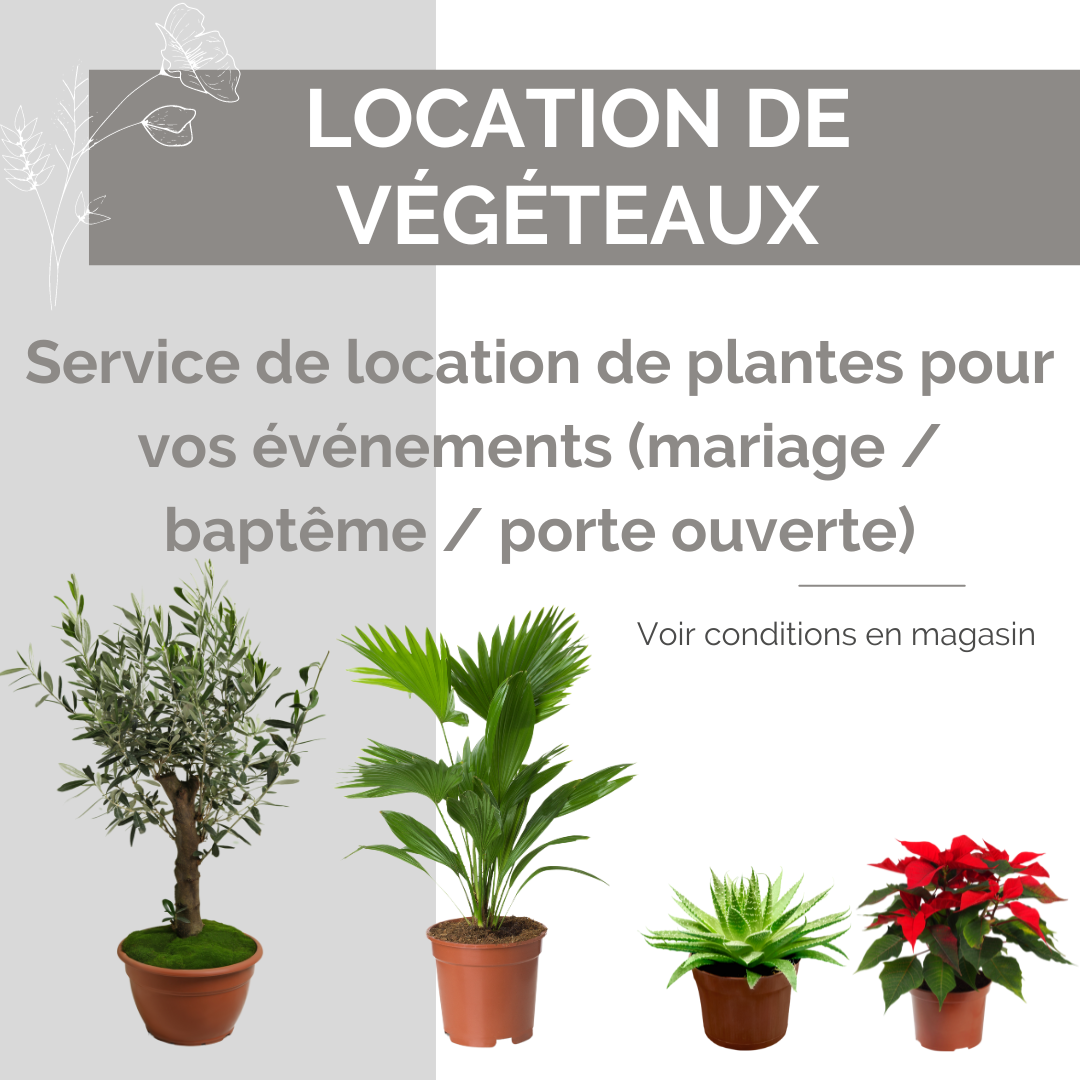 Location de végétaux