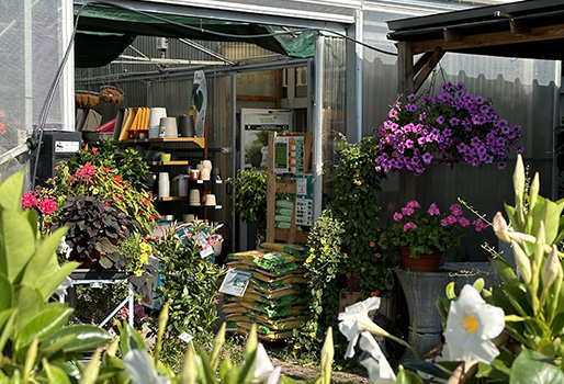 jardinerie et animalerie Jardy Berry près de Bourges (18)