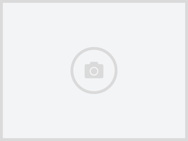 Blé Tendre 10kg et 25kg