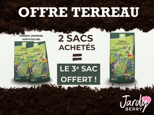 FOIRE AUX TERREAUX
