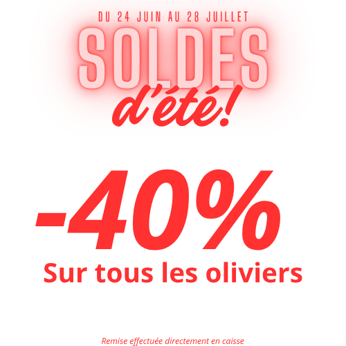 SOLDES D'ETE