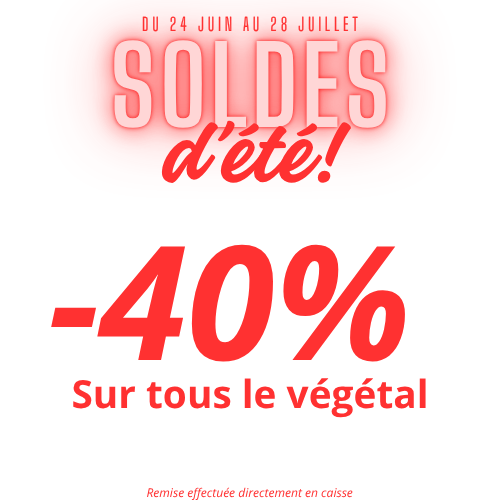 SOLDES D'ETE