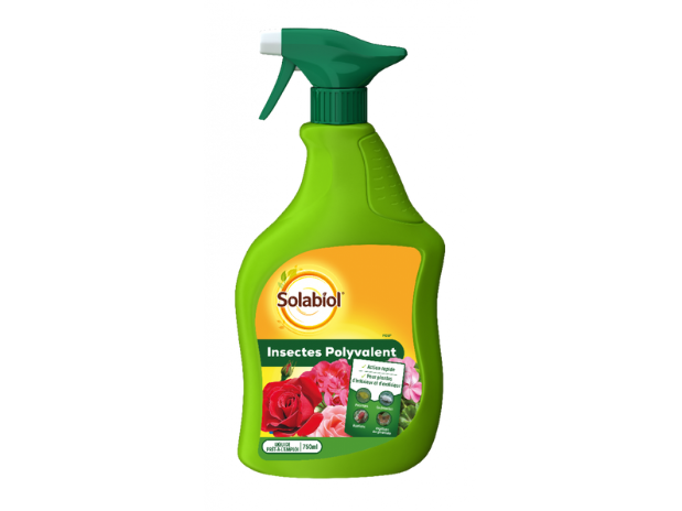 Insectes Polyvalent