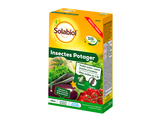 insectes potager
