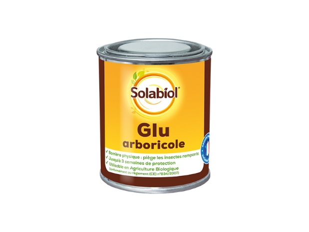 Glu arboricole