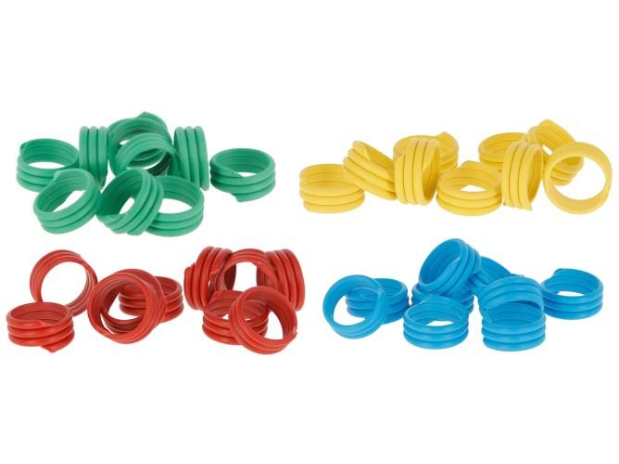 Bagues d’identification pour poule