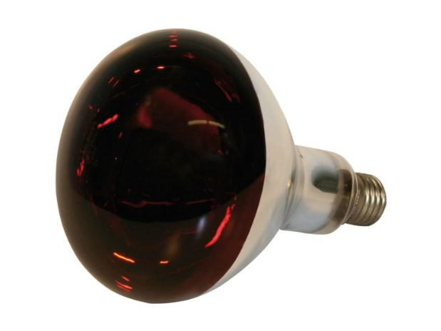 Lampe infrarouge en verre 150W