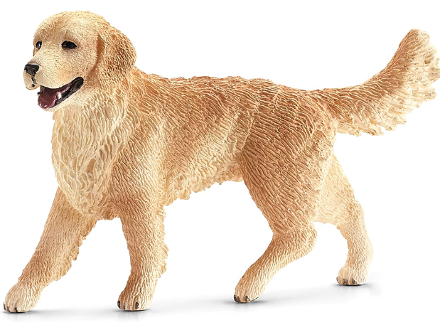 Chien Golden Retriever