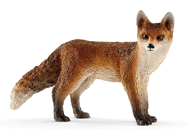 Renard