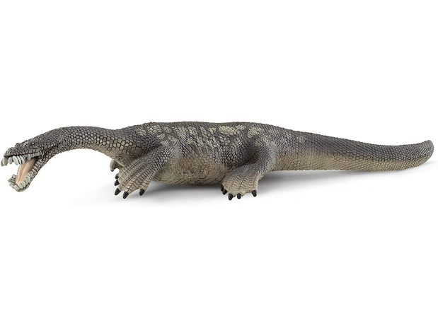 Nothosaurus