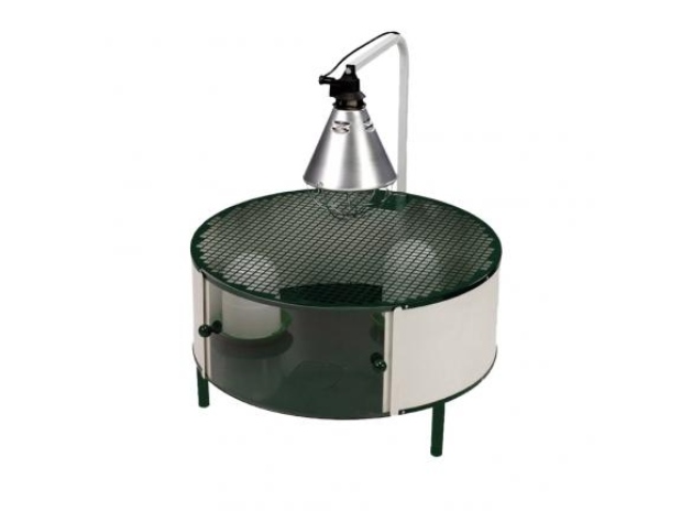 Cage éleveuse poussins