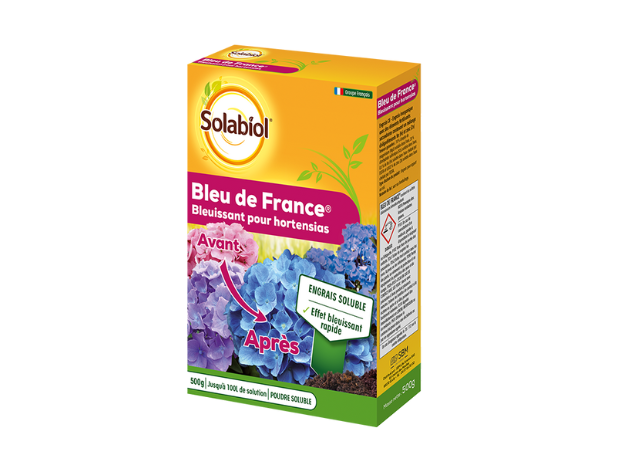 Bleu de France